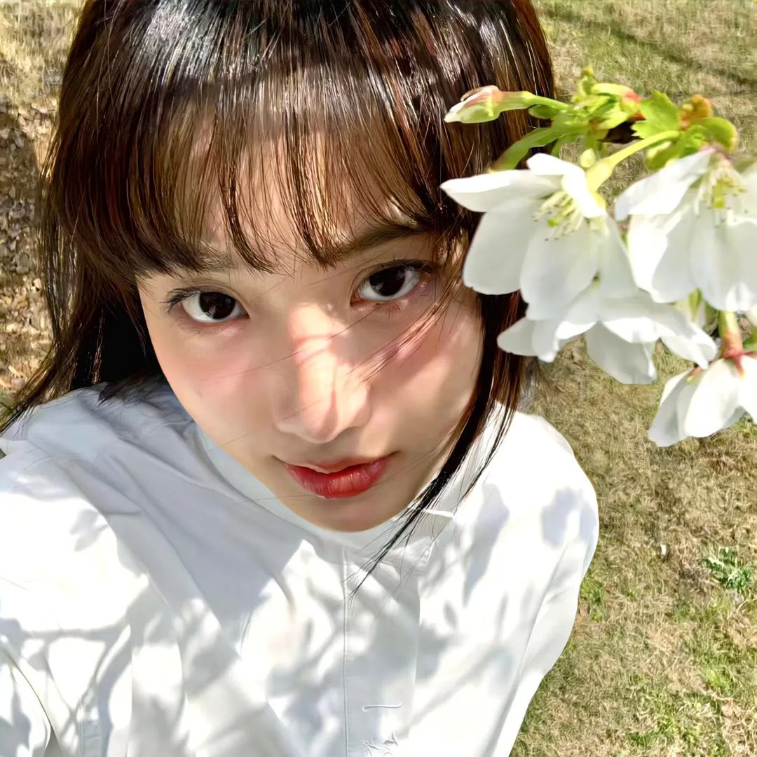 黄飞鸿五大弟子 高清在线观看